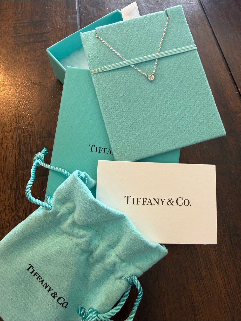 Tiffany & Co. Elsa Peretti Diamonds by the Yard Necklace with Single Diamond